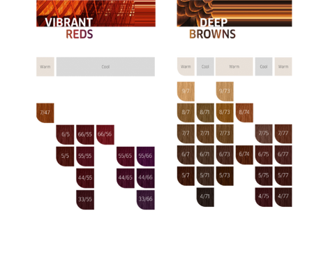 Wella Koleston Perfect, Zestaw Farba do Włosów, Woda Utleniona, 60ml, 130ml