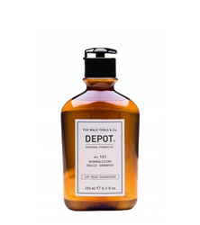 Depot No. 101 Normalizing Daily Shampoo, Szampon Normalizujący do Codziennej Pielęgnacji, 250ml