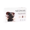 Neonail Zestaw Golden Muse Collection Set Zestaw do Manicure