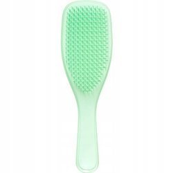 Tangle Teezer Wet Detangler Mini - Szczotka do Rozczesywania Mokrych Włosów, Mała, Baby Mint
