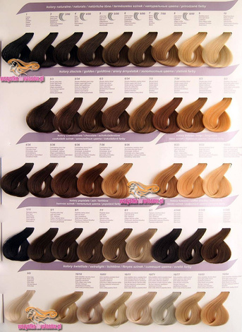 CeCe Color Creme, Zestaw Farba do Włosów, Woda Utleniona, 125ml, 130ml