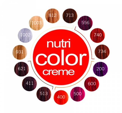 Revlon Nutri Color Creme - Maska koloryzująca do włosów farbowanych - Purpurowy czerwony - 500, 240ml