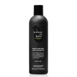 Alfaparf Blends Of Many Energizing Low Szampon Energetyzujący Włosy 250ml