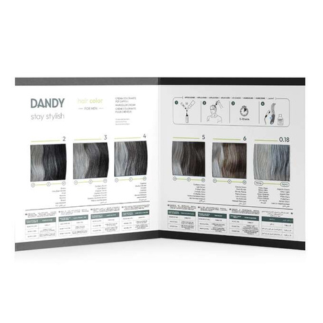 DANDY Hair Color Cover Krem Koloryzujący Dla Mężczyzn, Odsiwiacz, Nr 6 Ciemny Blond, Bez Amoniaku, 60ml