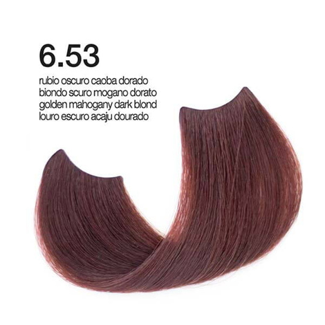 Exclusive Pasion & Color Hi Tech Colour Cream Farba do włosów 6.53 100ml