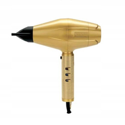 BaByliss Pro 4Artists Gold FX - Profesjonalna suszarka do włosów, 2200W, jonizacja, FXBDG1E