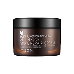 Mizon All in One Snail Repair Cream, Wielofunkcyjny Krem Regenerujący do Twarzy ze Śluzem Ślimaka, 120ml